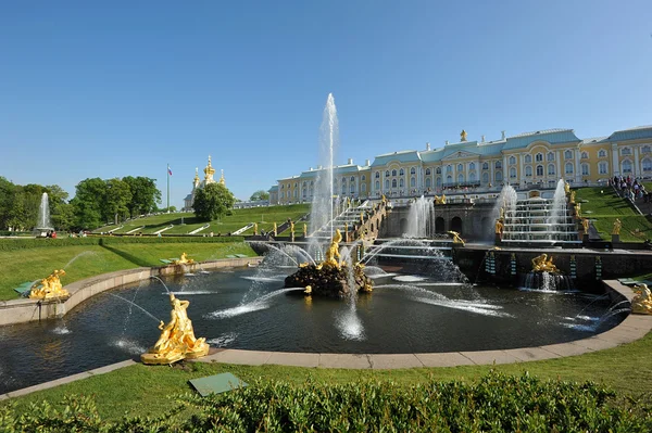 ST. PETERSBURG, RUSSIA - 26 MAGGIO: La fontana Peterhof "Samson t — Foto Stock