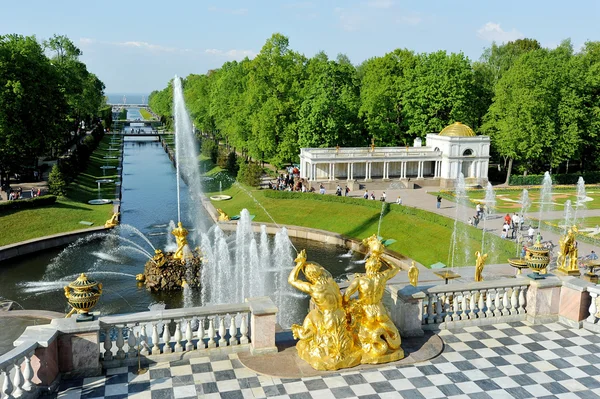 ST. PETERSBURG, RUSIA - 26 DE MAYO: La fuente Peterhof "Sansón t — Foto de Stock