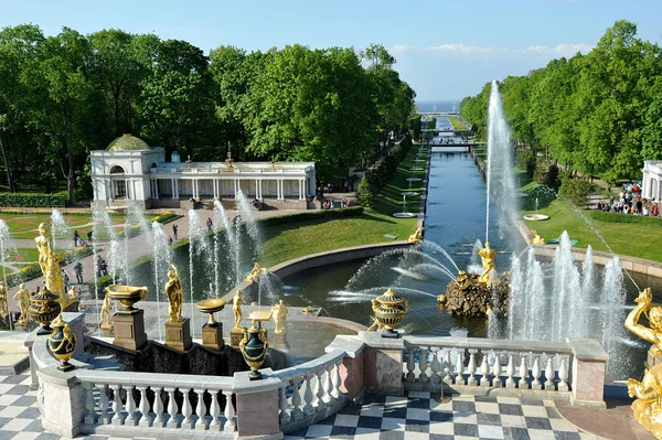 ST. PETERSBURG, RUSIA - 26 DE MAYO: La fuente Peterhof "Sansón t — Foto de Stock