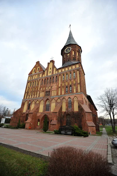 Kaliningrado, Rusia - 14 DE DICIEMBRE: Catedral de Konigsberg Dom en D —  Fotos de Stock