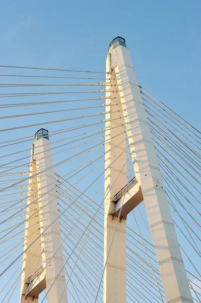 Big Obukhovsky bridge (cable-stayed) over the Neva river, St. Pe — Stock Photo, Image