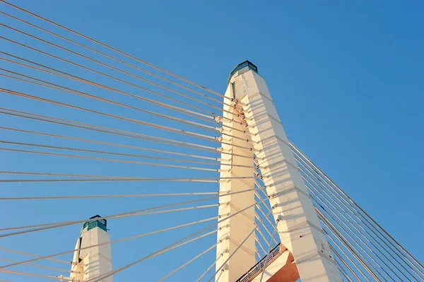 Big Obukhovsky bridge (cable-stayed) over the Neva river, St. Pe — Stock Photo, Image