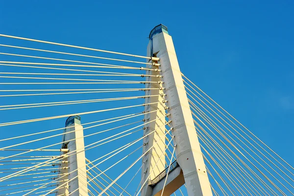 Gran puente de Obujovsky (cableado) sobre el río Neva, St. Pe —  Fotos de Stock