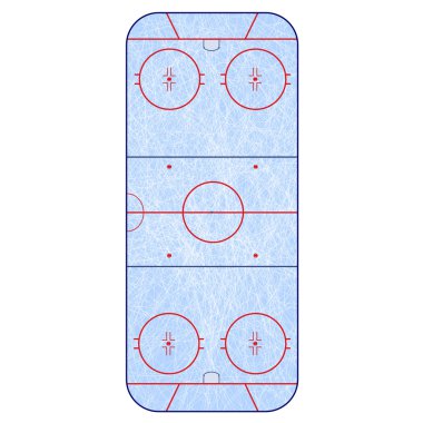 Buz hokeyi sahası - çim hokeyi versiyonu NHL oynuyor