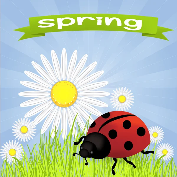 Spring background with dandelions