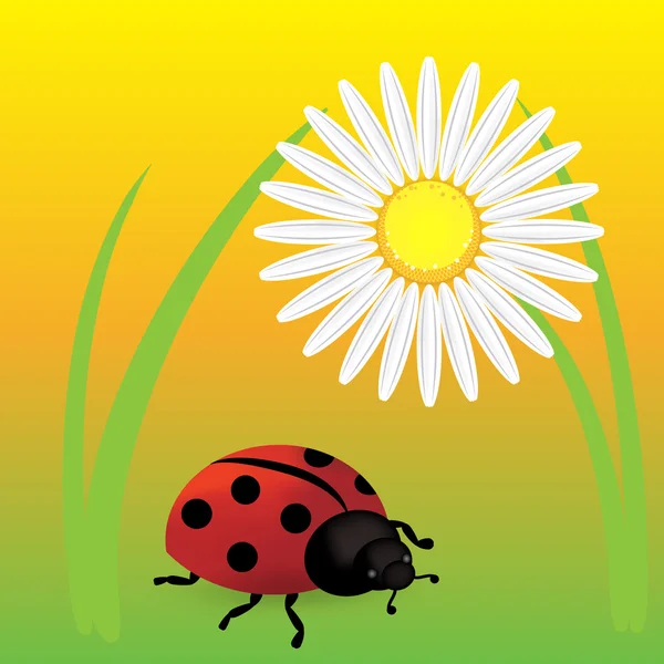 Spring background with dandelions