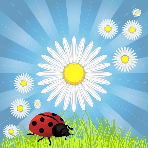 Spring background with dandelions