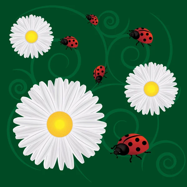 Background with dandelions and ladybug