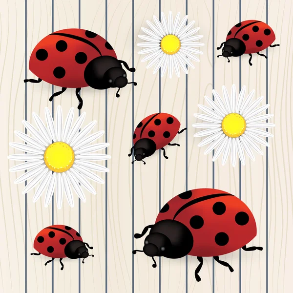 Background with dandelions and ladybug — Stock Vector
