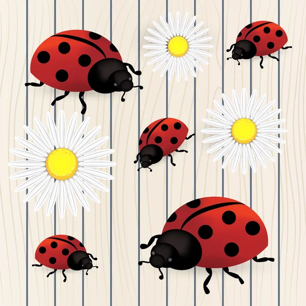 Fond avec des pissenlits et coccinelle — Image vectorielle