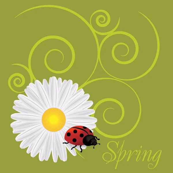 Background with dandelions and ladybug