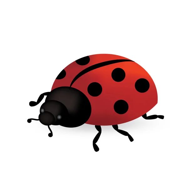 Illustrazione coccinella rossa — Vettoriale Stock