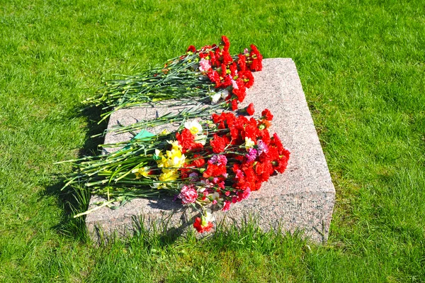 Red carnations at the memorial marble slab — Stock Photo, Image