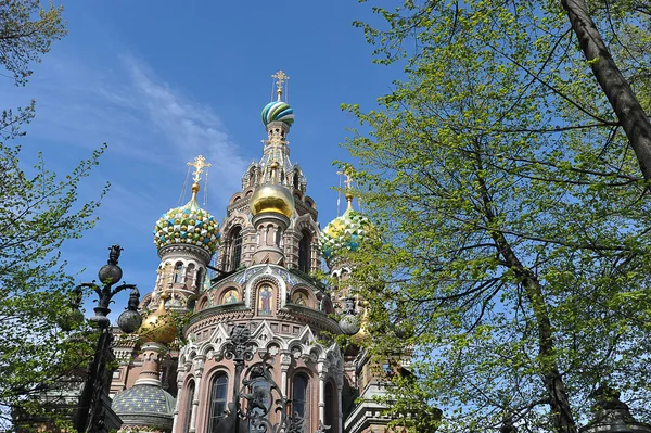 Купола Православной Церкви Спасителя на крови — стоковое фото