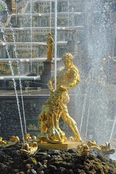 Fonte Sansão em Peterhof — Fotografia de Stock