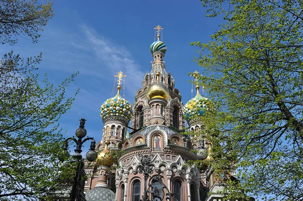 Купола Православной Церкви Спасителя на крови — стоковое фото