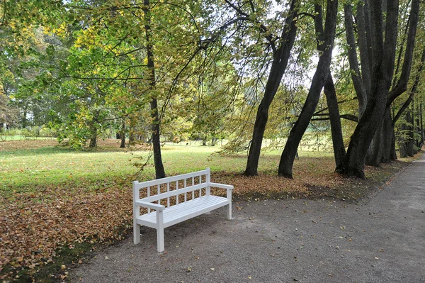 Banco branco no jardim de outono — Fotografia de Stock