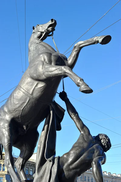 Bronz szobor "szelídítő lovak" St. Petersburg, Oroszország — Stock Fotó