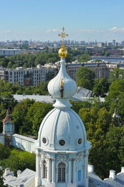 St. Petersburg, Rusya - 09 Ağustos 2015: Görünüm Smolny kedi