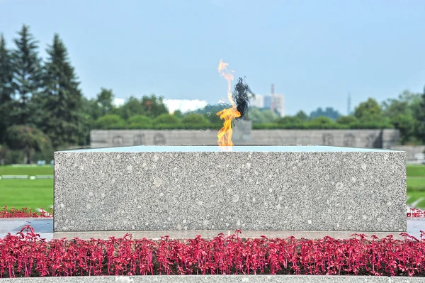 Eternal flame at Piskarevsky cemetery in St. Petersburg, Russia — Stock Photo, Image