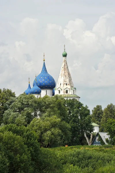 Suzdal, Rusya'nın eski kiliselerin kubbesi — Stok fotoğraf