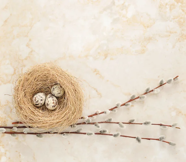 Nest Mit Wachteleiern Und Weidenzweigen Auf Dem Hintergrund Von Marmor Urlaub Fruhling Stock Photo 113139618