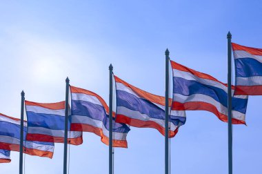Güneşli bir günde açık mavi gökyüzüne karşı rüzgarda dalgalanan bayrak direkleri üzerinde bir sürü Tayland bayrağı