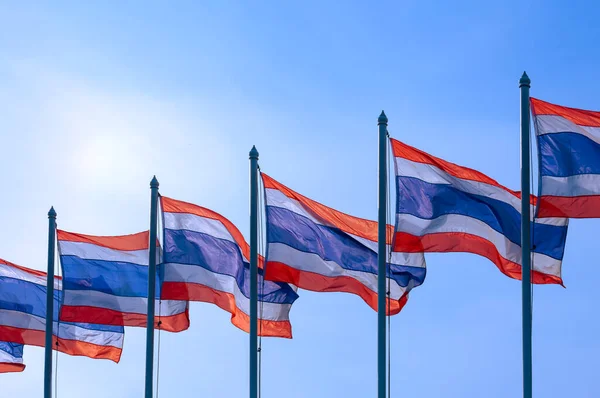 Sok Thai Zászló Sorakozik Zászlórúdokon Melyek Szélben Lobognak Kék Tiszta — Stock Fotó