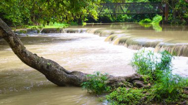 Yükselen şelale, yemyeşil ağaçlar ve asılı köprü, doğal arka planda, tropikal doğanın güzelliğini ve barışçıl doğa manzarasını yakalıyor..