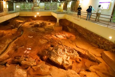 Kalasin, Tayland - Ekim 04.2025: Phu Kum Khao dinozor müzesi sıcak aydınlatma altında korunmuş dinozor kemiklerinin bulunduğu fosil kazı alanı ve antik kalıntıları gözlemleyen ziyaretçiler.