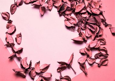 Taslakta kuru yapraklı arkaplan, metin veya fikirler için bir sayfa kağıt üzerinde boşluk, klasik atmosferde