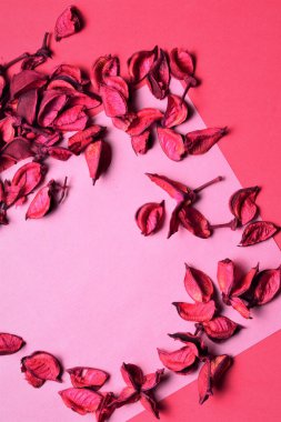 Taslakta kuru yapraklı arkaplan, metin veya fikirler için bir sayfa kağıt üzerinde pembe renklerde boşluk