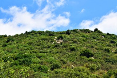 Yapraklı yeşil dağ, bol bitki örtüsü ve bulutlu gökyüzü.