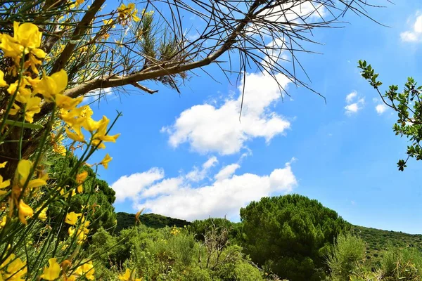 Bulutların doğal penceresi, temiz gökyüzü yapraklı bir dağdaki bitki örtüsü.