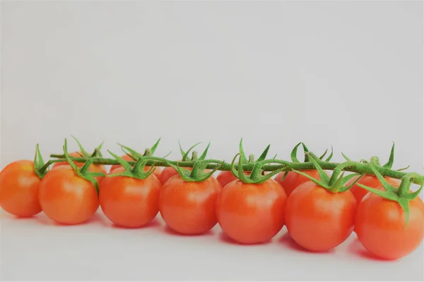 Tomates Ramo Pequenos Frescos Benéficos Fundo Branco — Fotografia de Stock