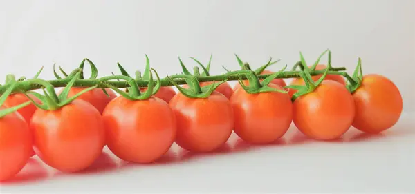 Petites Tomates Ramifiées Fraîches Bénéfiques Fond Blanc — Photo