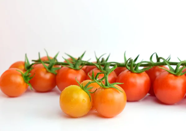 Close Small Fresh Beneficial Branch Tomatoes White Background — Stock Photo, Image