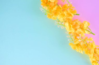 Çift renkli arka planda küçük sarı çiçekler, metin veya fikir için boşluk. Zirve görünümü.