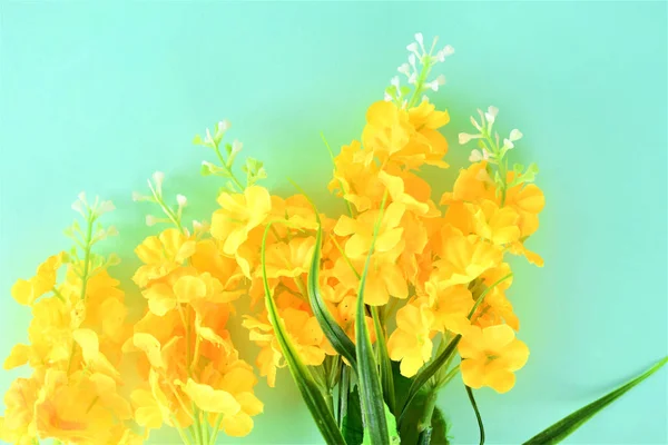 黄色い花の小さな枝 コピースペース 光の背景 — ストック写真