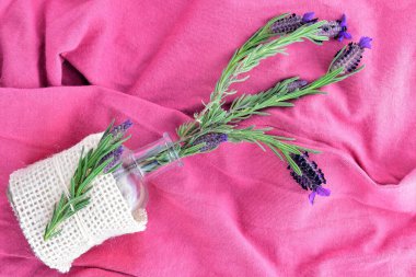 Zenith manzarası. Lavanta, doğal bitki, pembe arka planda dallar.