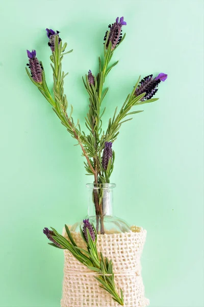 Pohled Zenith Přírodní Kytice Levandule Léčivé Rostliny Světle Zeleném Pozadí — Stock fotografie
