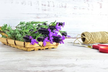 Bir demet lavanta çiçeği.