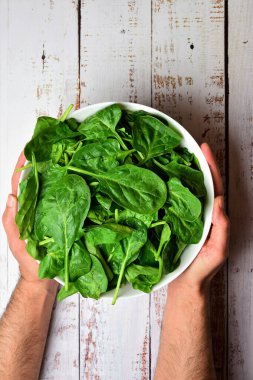 Zenith manzarası. Sebze arkaplan, beyaz kasede taze ıspanak, genç bir yetişkinin ellerinde, kırsal kesimde beyaz bir ağaçta, sağlıklı yiyecekler. Boşluğu kopyala.