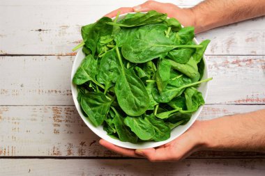 Sebze arkaplan, beyaz kasede taze ıspanak, genç bir yetişkinin ellerinde, kırsal kesimde beyaz bir ağaçta, sağlıklı yiyecekler..