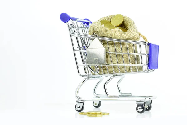 ショッピングカートでユーロコインで袋に入れる 経済的概念 白い背景とコピースペース — ストック写真