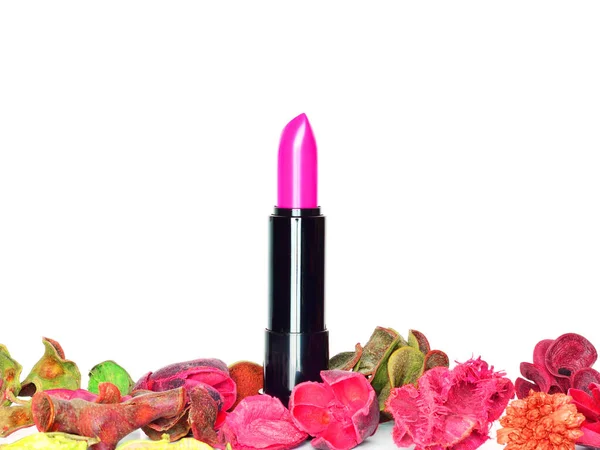 Rossetto Magenta Profondo Contorno Decorativo Foglie Secche Fondo Bianco Copia — Foto Stock