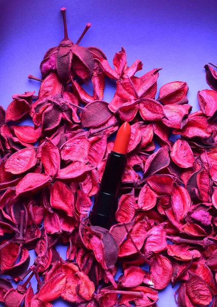 Lápiz Labial Rojo Profundo Sobre Hojas Rosas Secas Decorativas Con — Foto de Stock