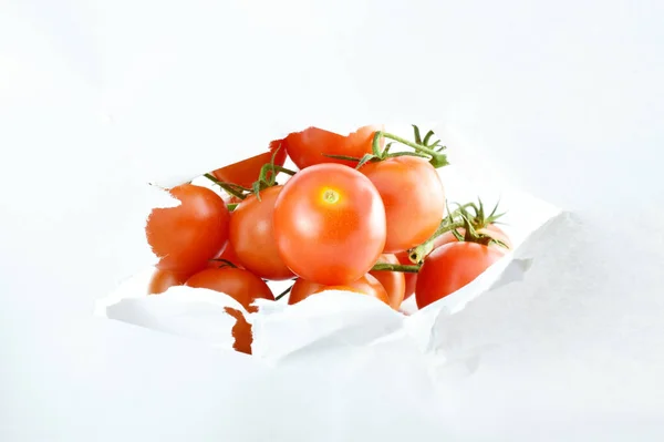 Abertura Central Com Folha Branca Fecha Tomates Ramo Pequeno Frescos — Fotografia de Stock