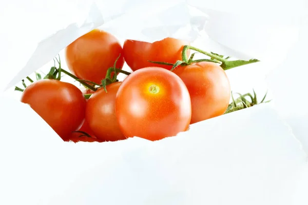 Central Opening White Leaf Close Fresh Beneficial Small Branch Tomatoes — Stock Photo, Image