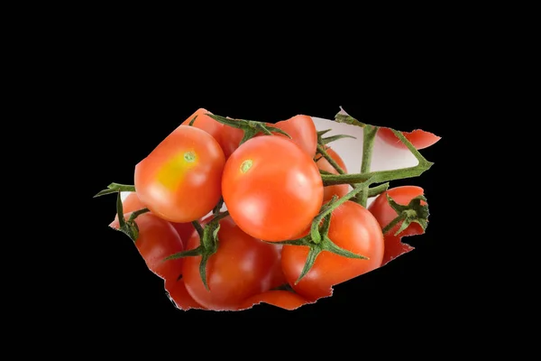 Close Central Opening Black Background Fresh Beneficial Small Branch Tomatoes — Stock Photo, Image